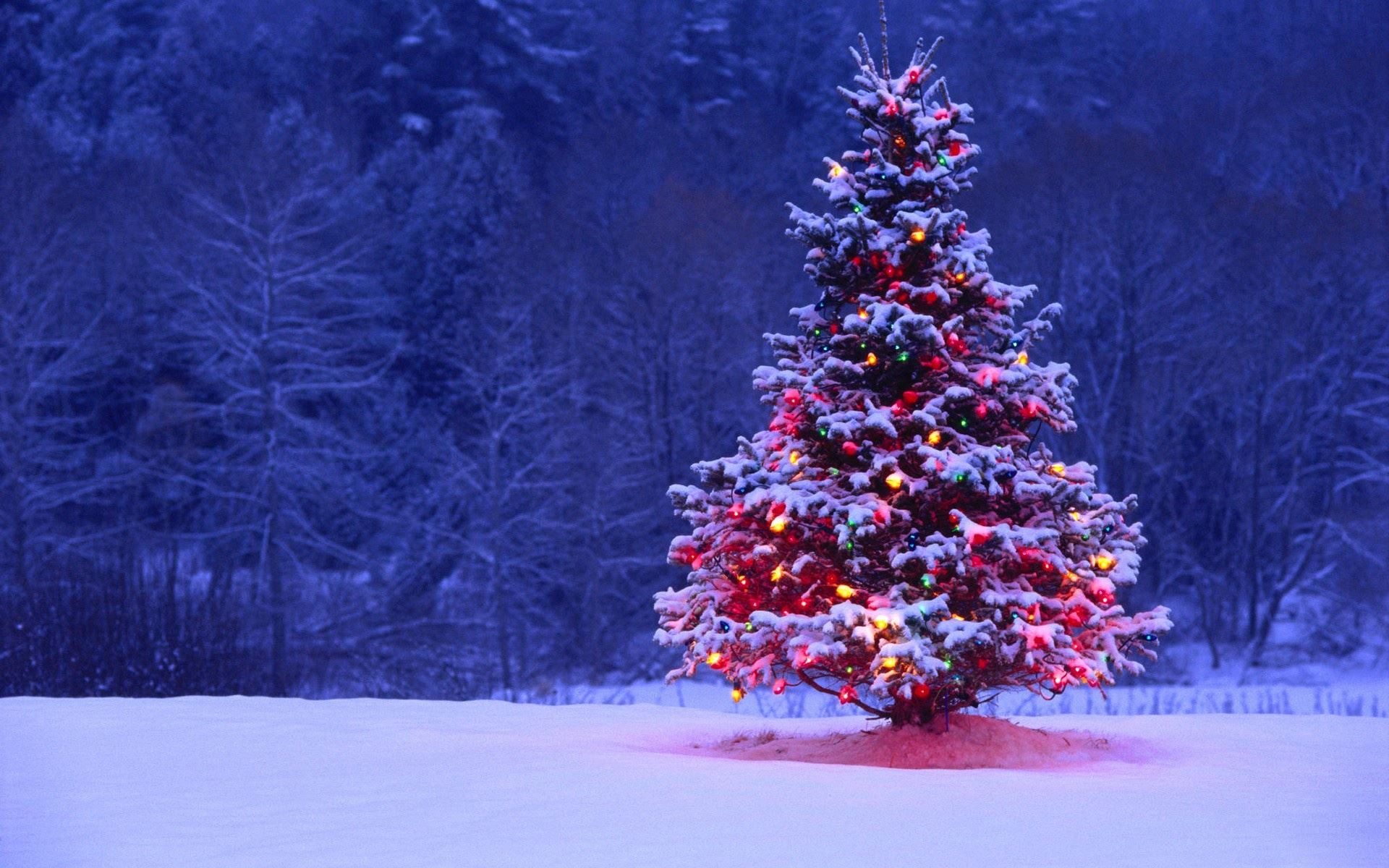 snowy-outdoor-decorated-christmas-tree
