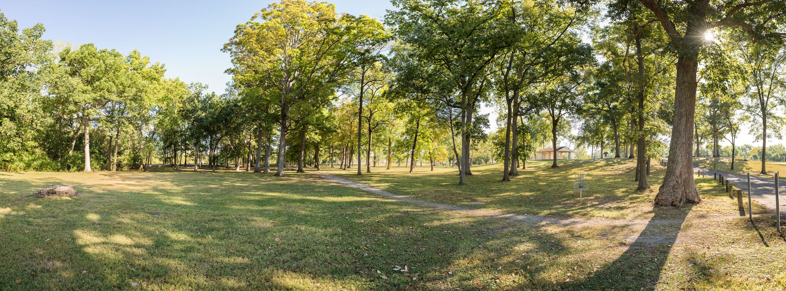 Community Park Trees